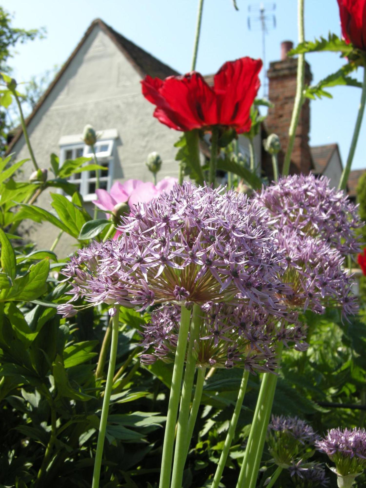 Motts Bed & Breakfast Great Dunmow Buitenkant foto