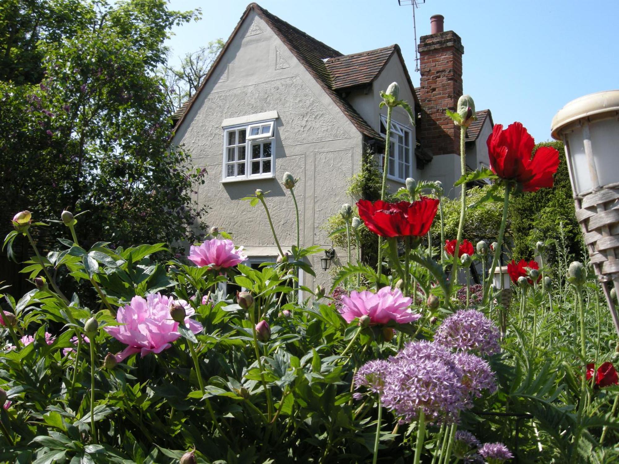 Motts Bed & Breakfast Great Dunmow Buitenkant foto